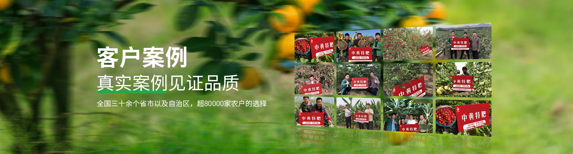 水溶肥料-大量元素水溶肥-含氨基酸水溶肥料-高塔复合肥-水溶肥生产厂家-168飞艇开奖官网开奖记录查询结果