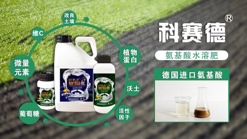 施用使用叶面肥有哪些好处？叶面肥哪个厂家的效果好？